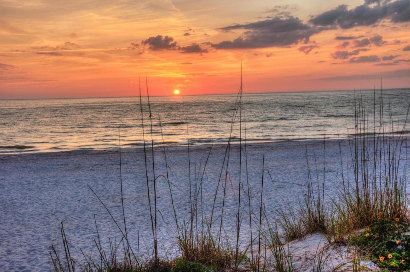 Boutique Beach Retreat St. Pete Beach Eksteriør billede